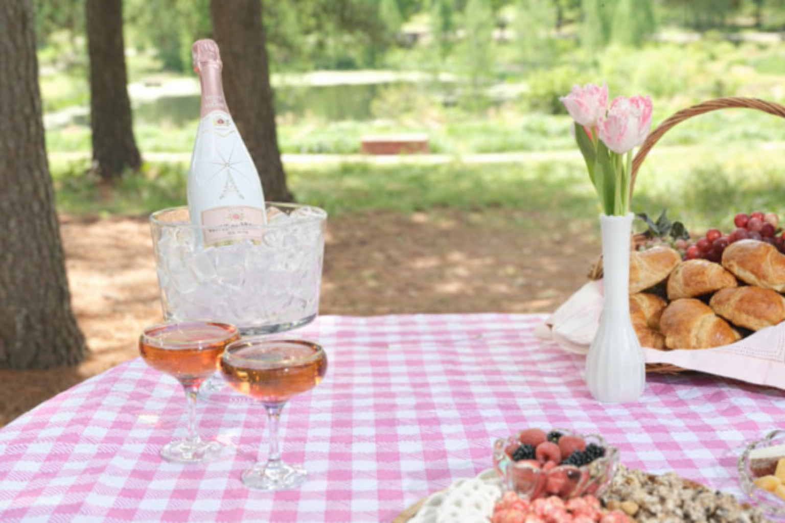 A picnic spread with sparkling wine, pastries, yogurt covered pretzels and fruit overlooks a pond, on a pink and white checkered tablecloth